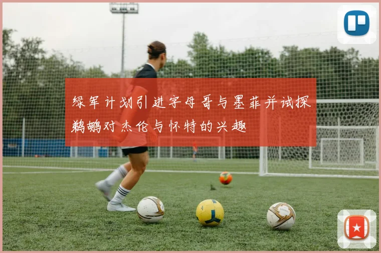 绿军计划引进字母哥与墨菲并试探鹈鹕对杰伦与怀特的兴趣